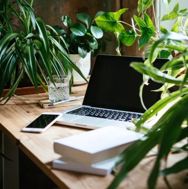 Go2People Websites B.V1